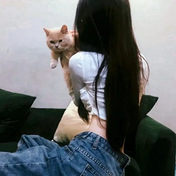 焦点